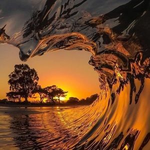 Meet your Posher, Cathy